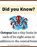 Image result for Did You Know Strange Facts