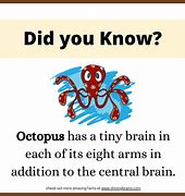 Image result for Did You Know Kids Facts