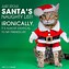 Image result for Cat Christmas Quotes