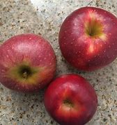 Image result for Winesap OS