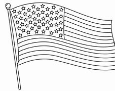 Image result for Trump USA Flag