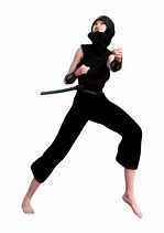 Image result for Female Ninja Silhouette
