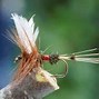 Image result for Pictures of Fishing Lures
