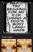 Image result for Google Translate Lens Memes