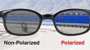 Image result for Polarized vs Non-Polarized Sunglasses