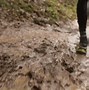 Image result for Excited About Mud Run GIF