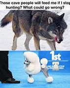 Image result for Dog and Wolf Meme 2019
