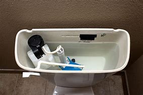 Image result for Inside of a Toilet Bowl