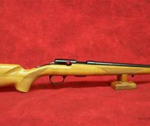 Image result for Browning T Bolt with Skulls On Stock