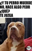 Image result for Que Bien Come El Perro Meme