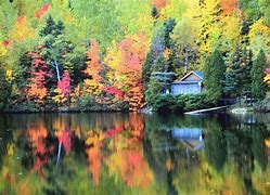 Image result for September Fall Foliage Maine