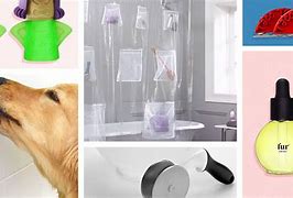 Image result for Random Things On Amazon