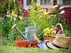 Image result for Gardening Watering Can