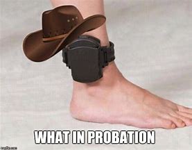 Image result for Funny Probation Memes