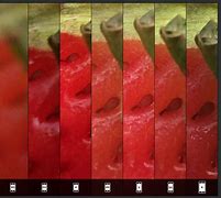 Image result for iPhone SE Camera Picture and Zoom Comparison