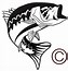 Image result for Real Fish Clip Art Bass