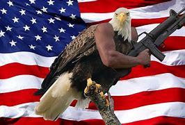 Image result for USA Arms Meme