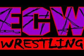 Image result for Custom Wrestling Logos