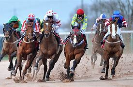 Image result for Horse Racing Pictures