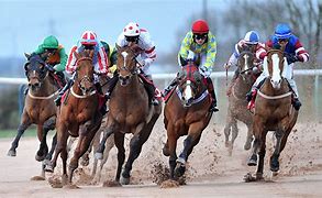 Image result for Race Horse Pictures Free