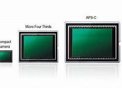 Image result for Micro Four Thirds Sensor Size iPhone