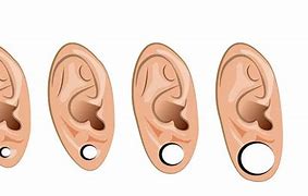 Image result for Gauged Ear Sizes