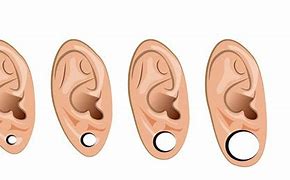 Image result for Ear Gauge Chart Human