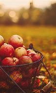 Image result for Fall Apples High Resolution Images