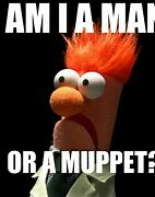 Image result for Beaker Muppet Meme