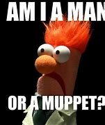 Image result for Scared Muppet Meme