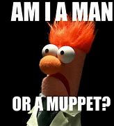 Image result for Muppet Looking Meme