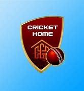 Image result for Cricket Text/Photo