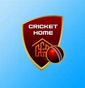 Image result for Cricket Bug Pics