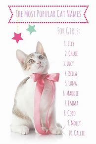 Image result for Baby Girl Cat Names
