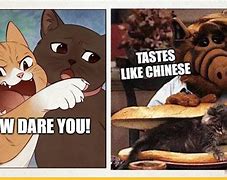 Image result for Cat Chinese Food Meme