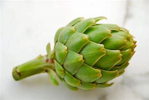 Image result for Artichoke