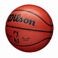 Image result for NBA New Basketball Wilson