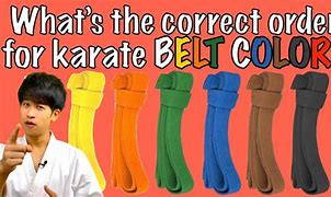 Image result for Belt Colors