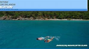 Image result for British Virgin Islands Snorkeling