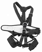 Image result for Safety Harness Doouble