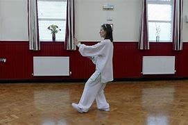 Image result for Tai Chi 16 Form Yang Style