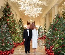 Image result for Trump Christmas White House Portrait