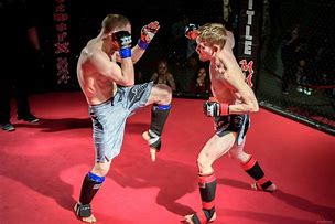 Image result for MMA Photography