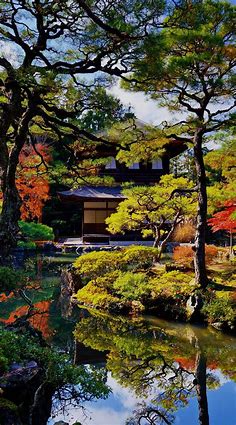 Pin by Esquirol14 on Japanese Scenery | Japanese garden, Japan garden, Landscape