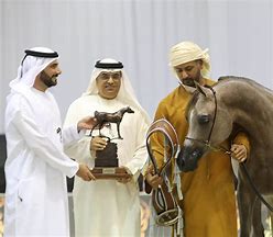 Image result for Dubai Horse Jumping