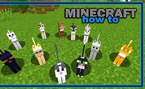 Image result for Most Rare Cat in Minecraft