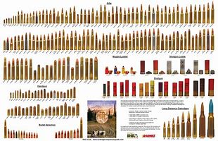 Image result for Rifle Ammo Size Comparison Chart