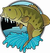 Image result for Seas Bass Fish Clip Art