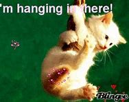 Image result for Hang in There Team Meme