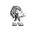 Image result for Knuckles the Echidna Poses